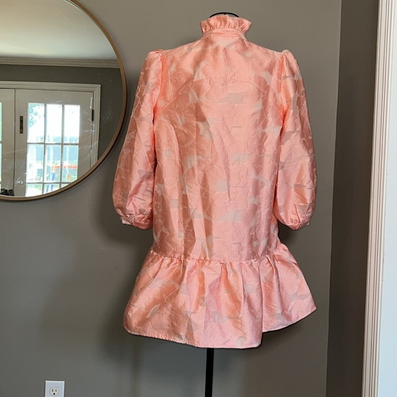 NWT Tuckernuck Bellini Fil Coupe Pink Palmerston Dress Size L - Picture 4 of 6
